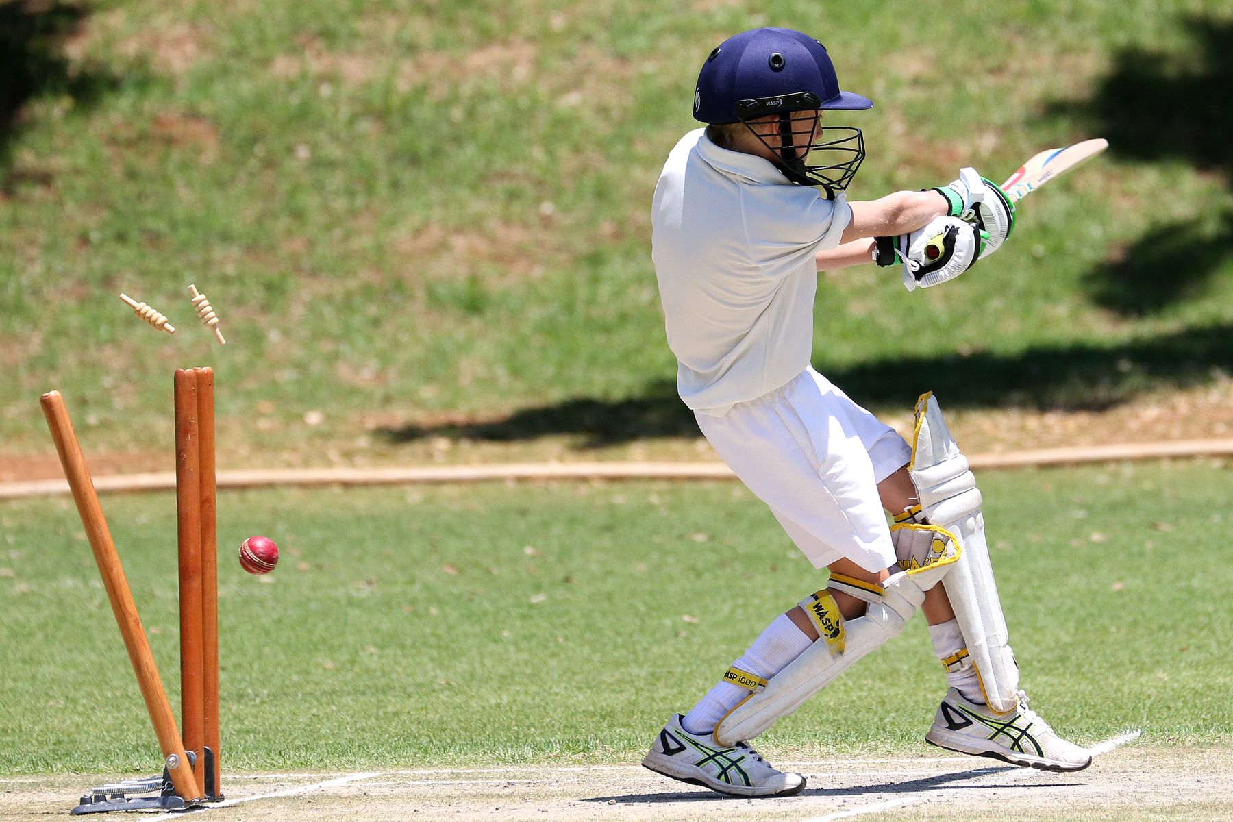 Cricket bat and ball on a pitch, representing the sport's different match formats